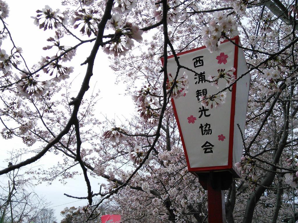 Himeyado Hanakazashi Gamagōri Exterior photo